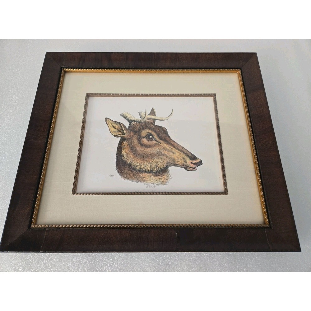 Vtg "Stag" Deer Engraving Print by Howitt – Framed Matted Victorian Wildlife